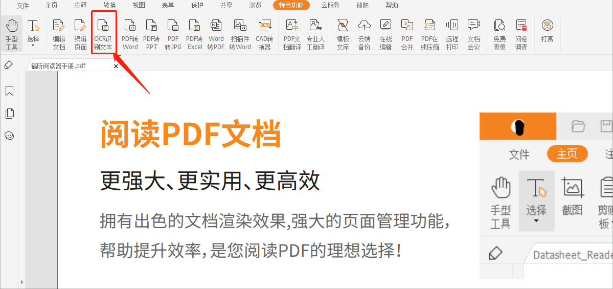 有道翻译PDF